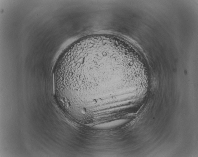 X0000076351223200610161750