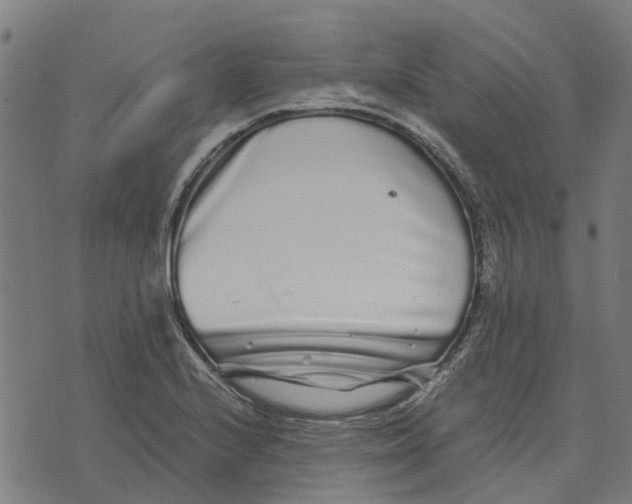 X0000076351224200610161750