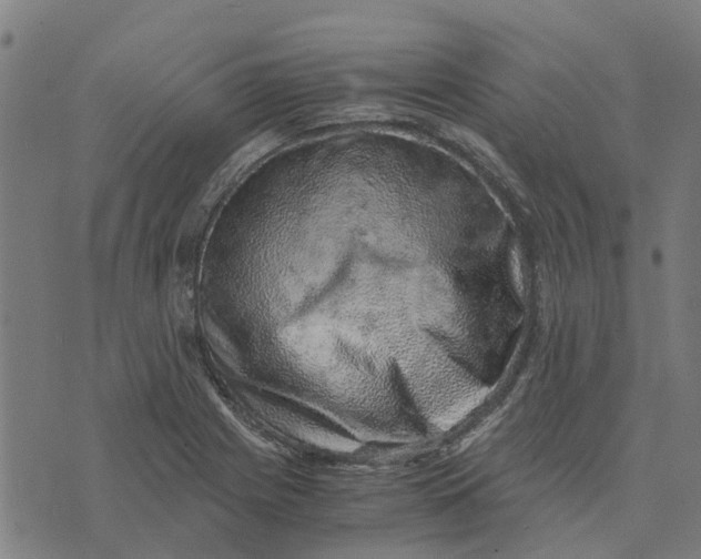 X0000076351225200610161750