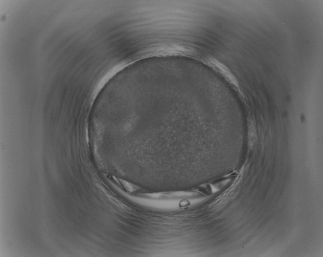 X0000076351226200610161750