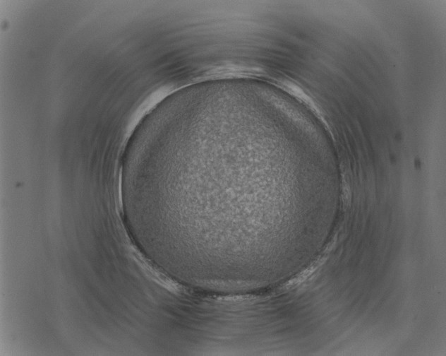 X0000076351227200610161750