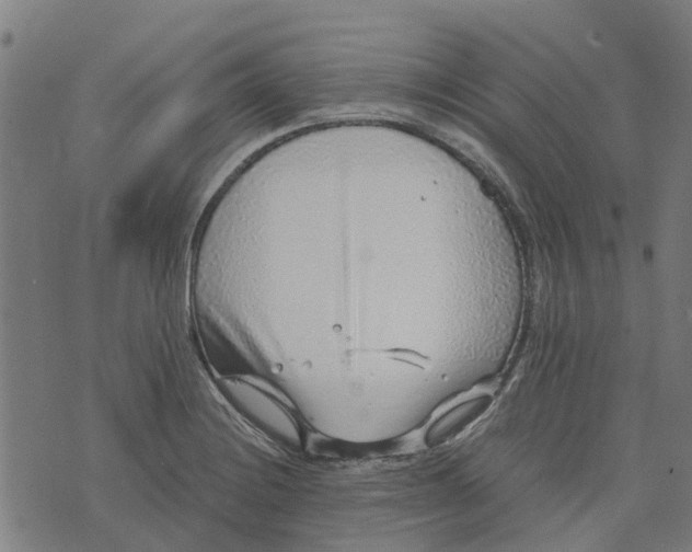 X0000076351228200610161750