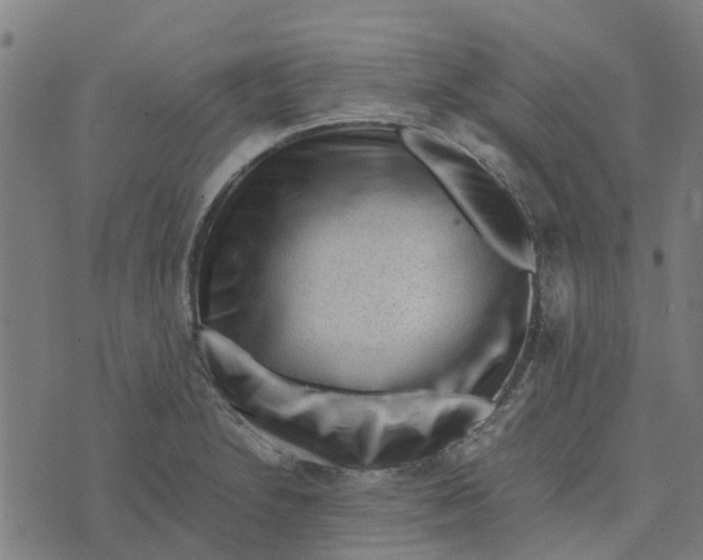 X0000076351230200610161750