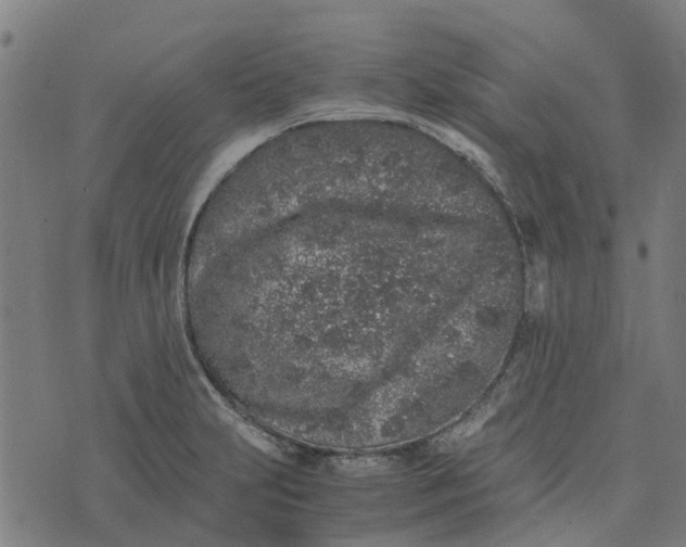 X0000076351231200610161750