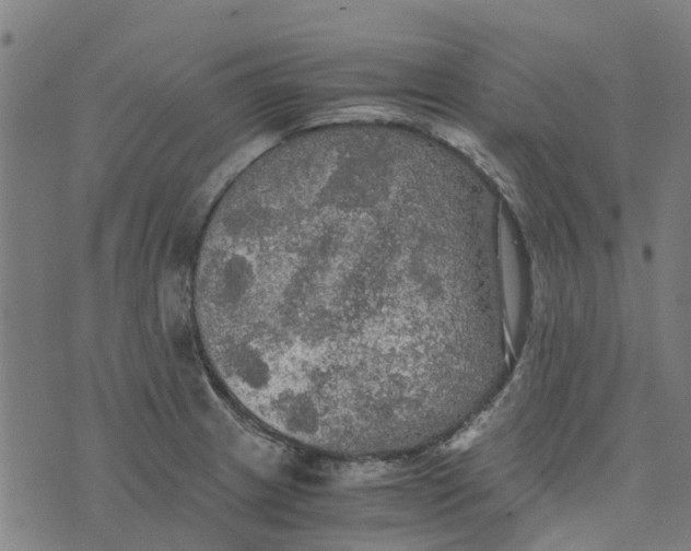 X0000076351233200610161750