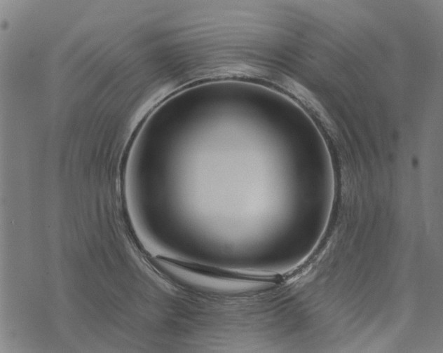 X0000076351234200610161751