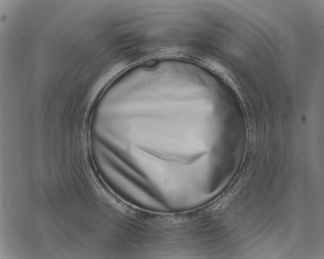 X0000076351235200610161751