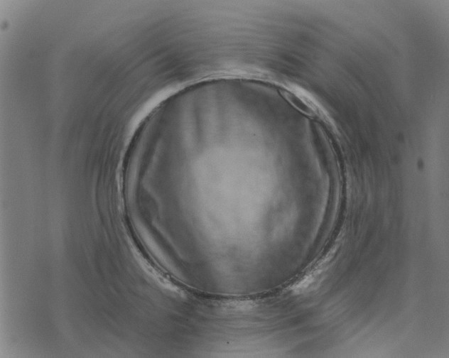 X0000076351238200610161751