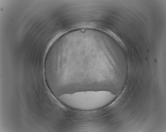 X0000076351240200610161751