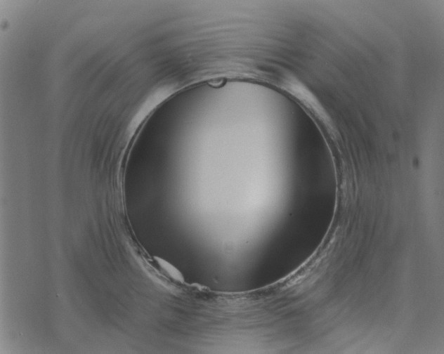 X0000076351242200610161751