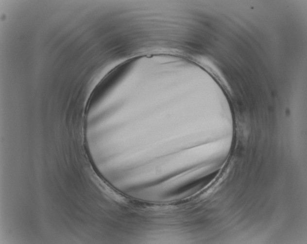 X0000076351244200610161751