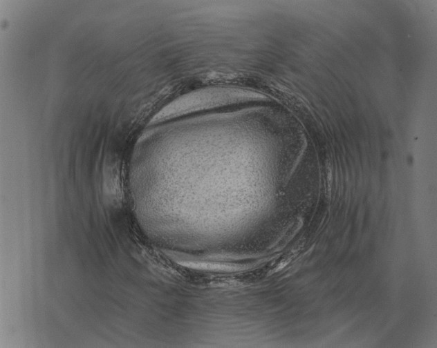 X0000076351250200610161750