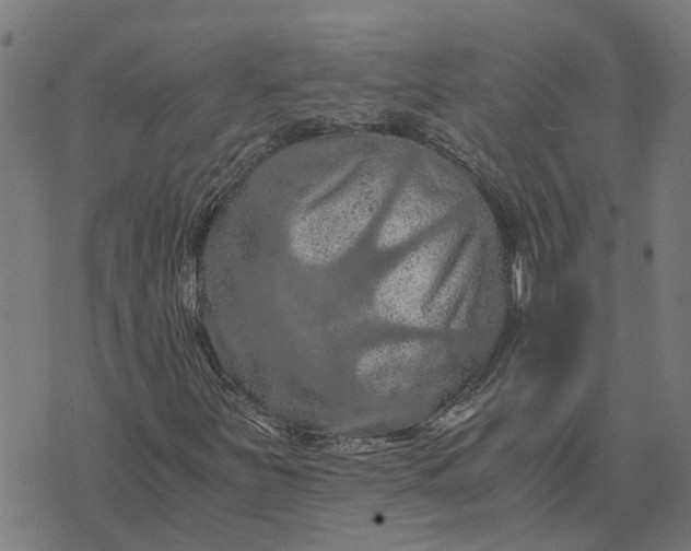 X0000076351251200610161750