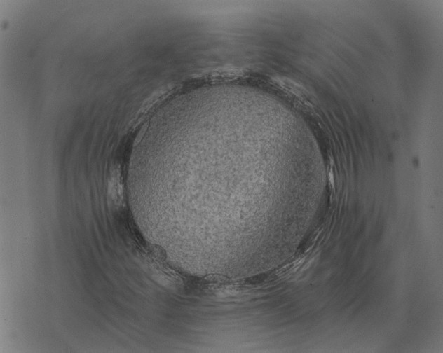 X0000076351252200610161750