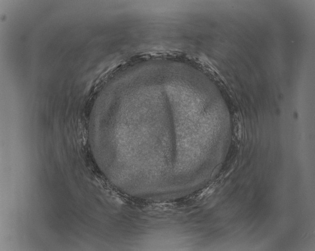 X0000076351253200610161750