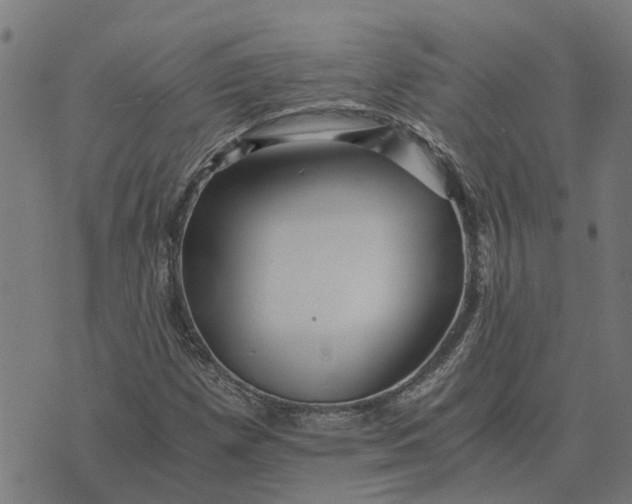 X0000076351257200610161750