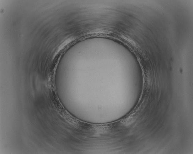 X0000076351258200610161750