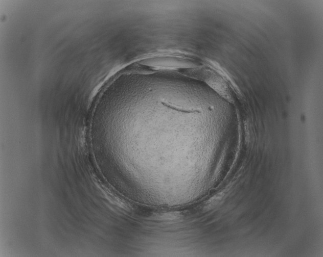 X0000076351260200610161750