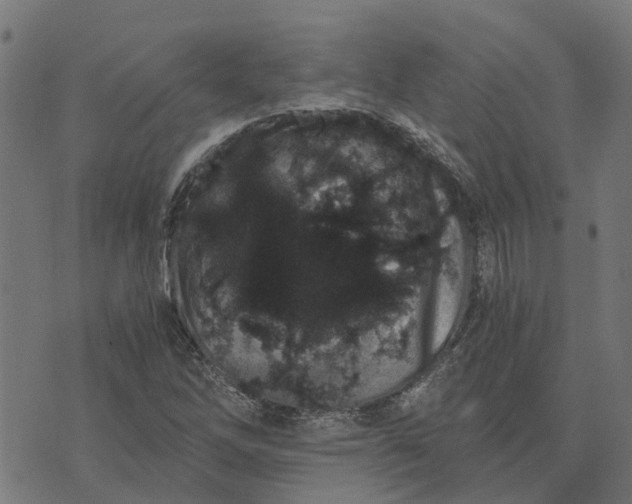 X0000076351262200610161750