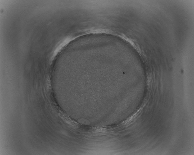 X0000076351263200610161750