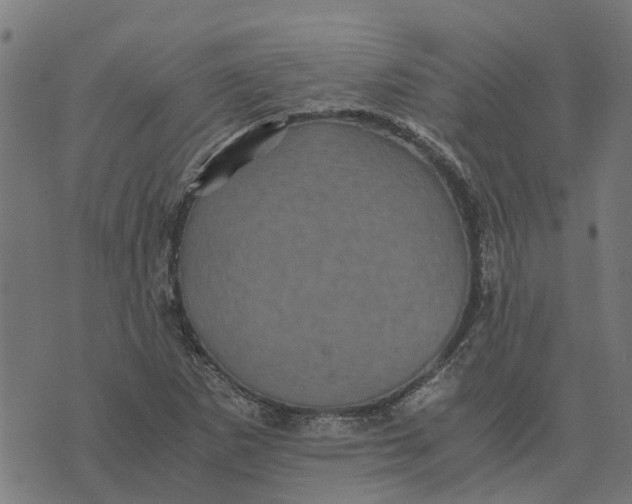 X0000076351265200610161750