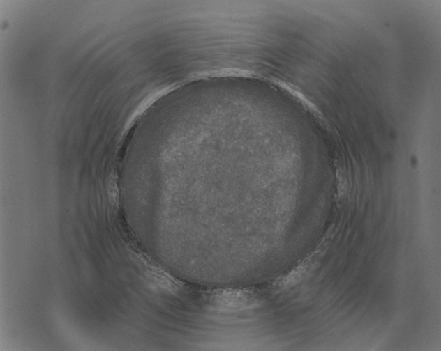 X0000076351266200610161750