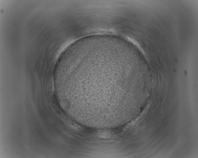 X0000076351267200610161750