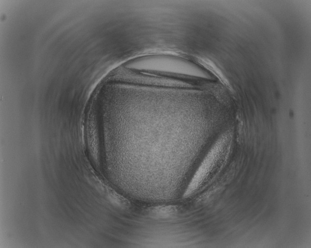 X0000076351268200610161750