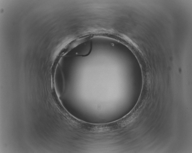 X0000076351269200610161750