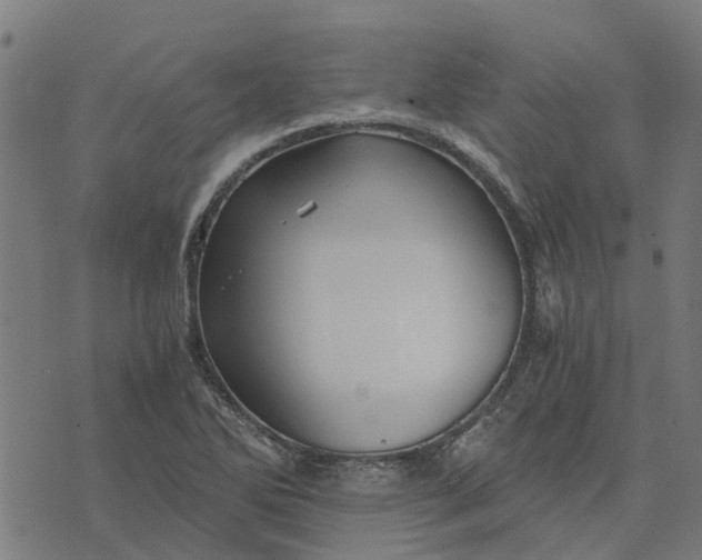 X0000076351270200610161750