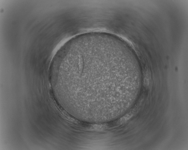 X0000076351271200610161750