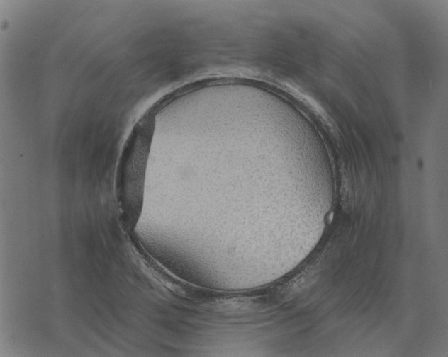 X0000076351272200610161750