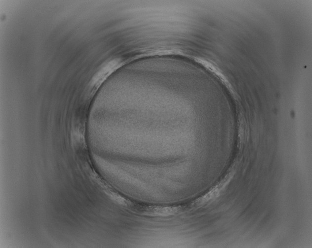 X0000076351273200610161750