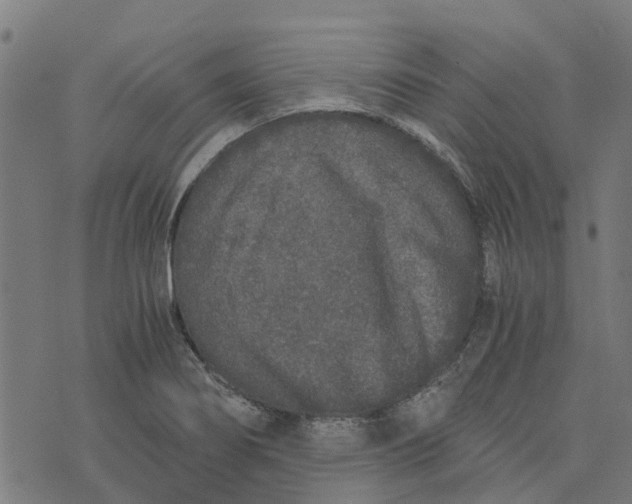 X0000076351274200610161750