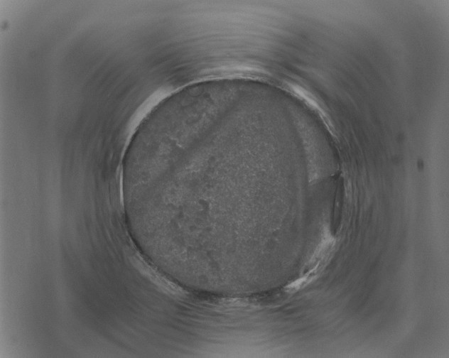 X0000076351275200610161750