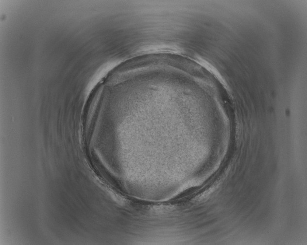 X0000076351277200610161750