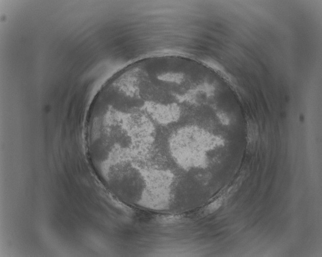 X0000076351278200610161749