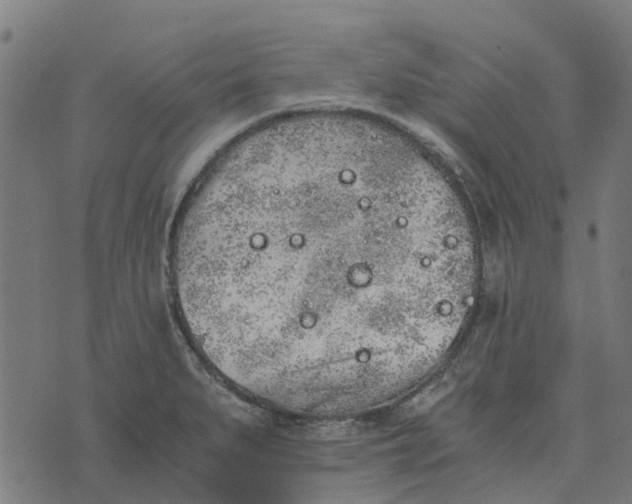 X0000076351279200610161749