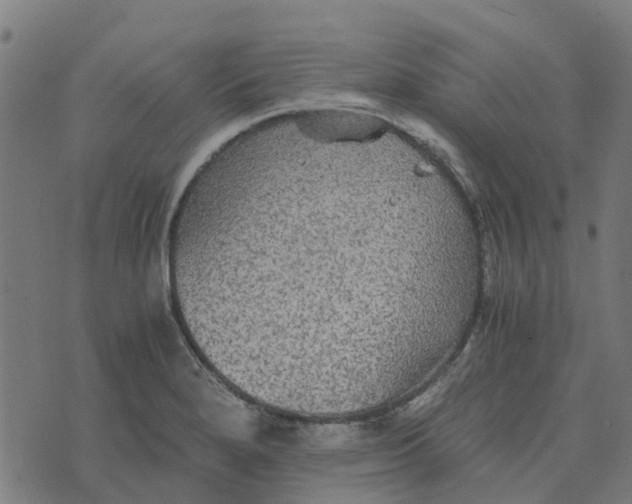 X0000076351280200610161749