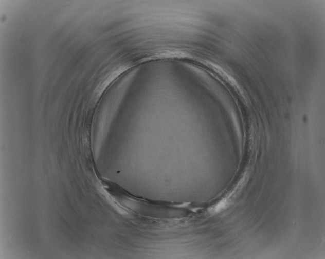 X0000076351281200610161749