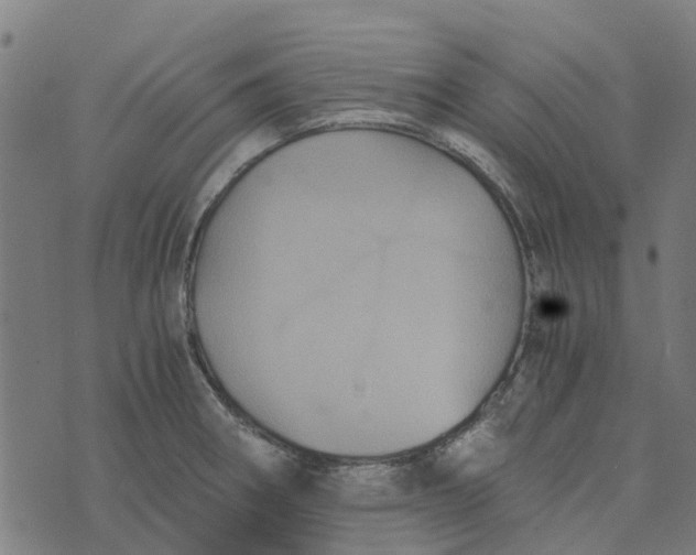 X0000076351282200610161749