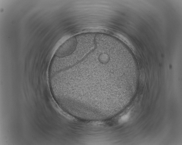 X0000076351283200610161749