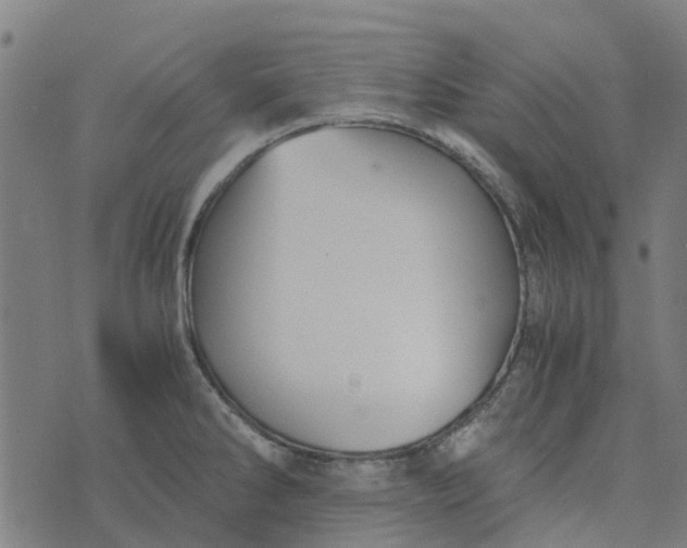 X0000076351286200610161749