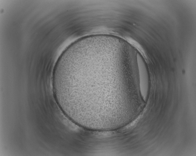 X0000076351288200610161749