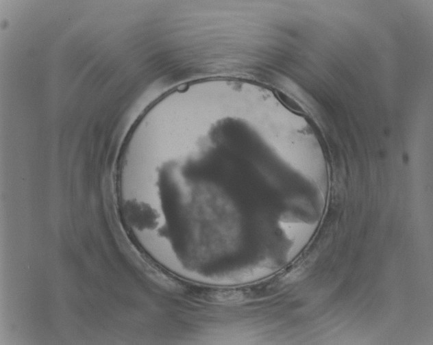 X0000076351291200610161749