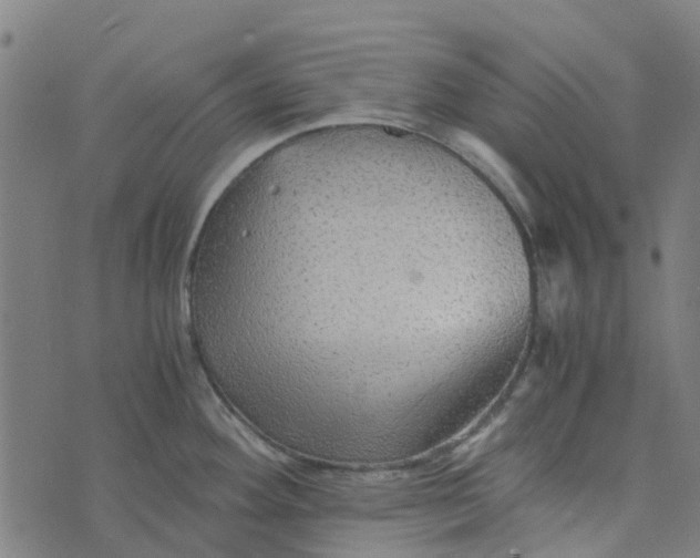 X0000076351292200610161749