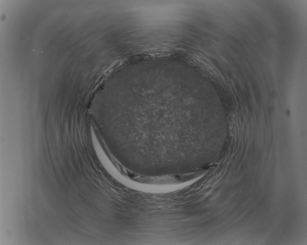 X0000076351298200610161748