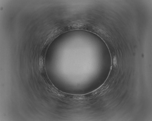 X0000076351299200610161748