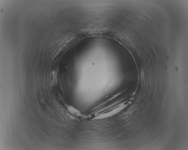 X0000076351300200610161748