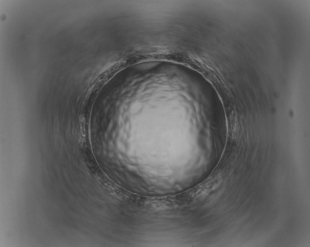 X0000076351301200610161748